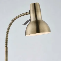 Amalfi Antique Brass Task Floor Lamp