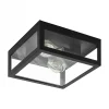Amezola 2 light Flush Ceiling Light