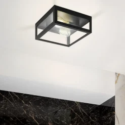 Amezola 2 light Flush Ceiling Light