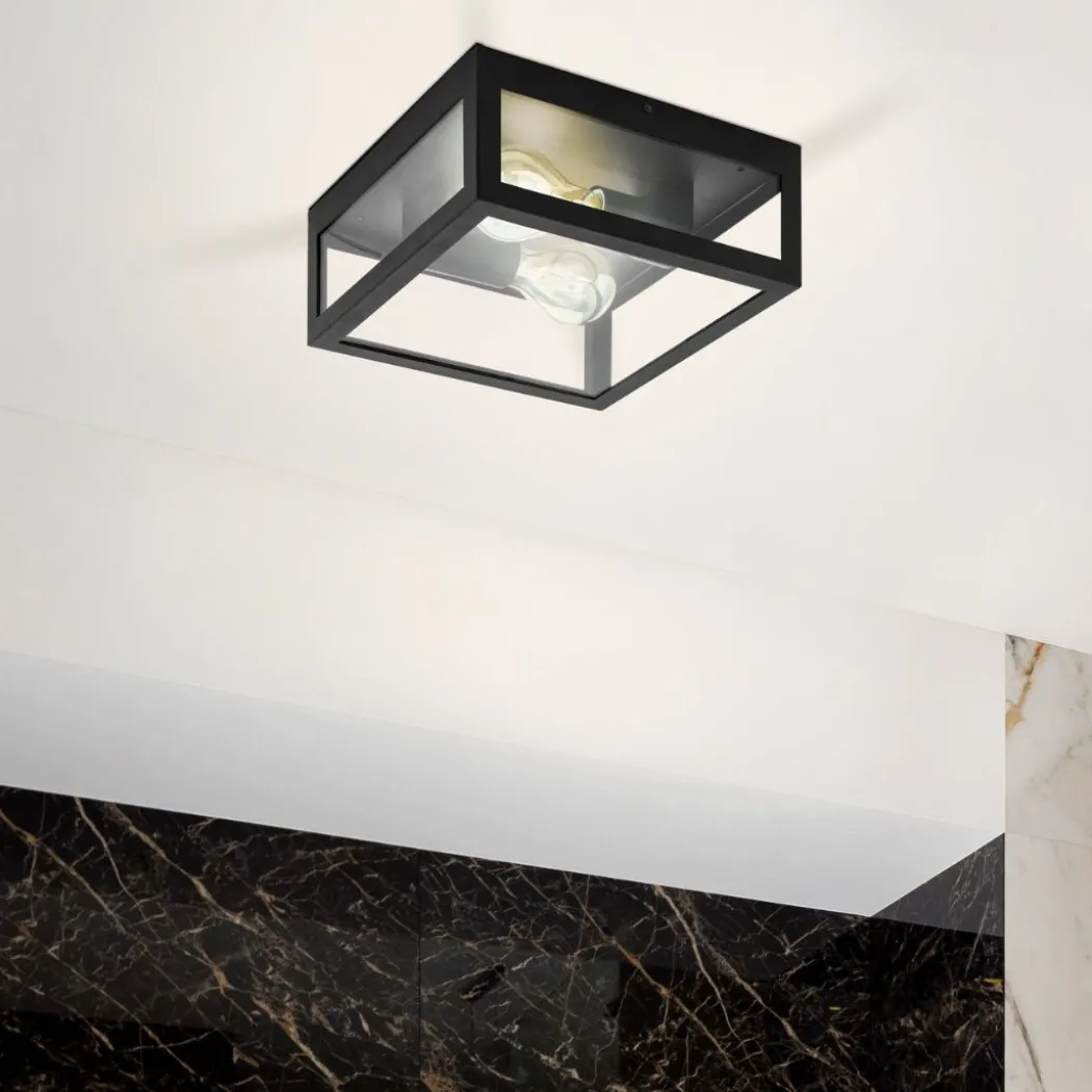 Amezola 2 light Flush Ceiling Light