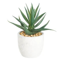 Artificial Aloe Vera in White Pot