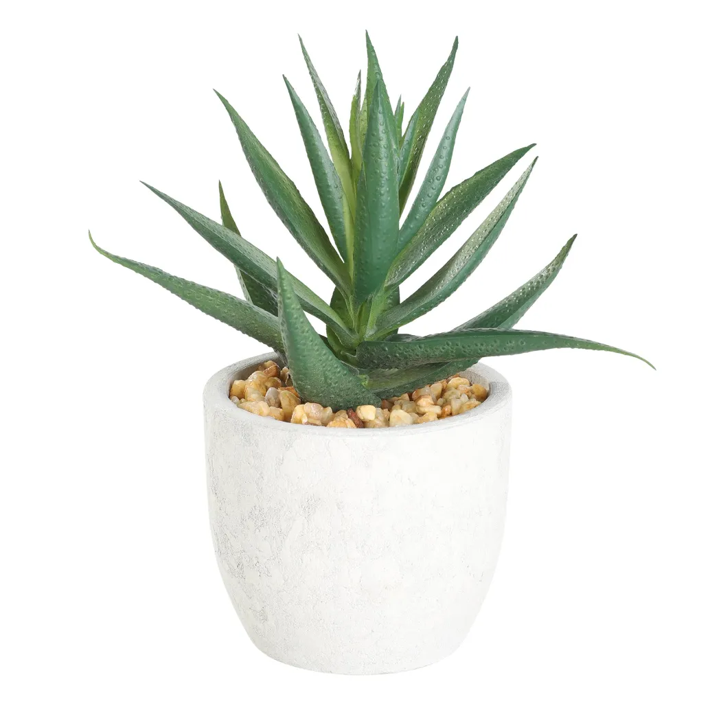 Artificial Aloe Vera in White Pot