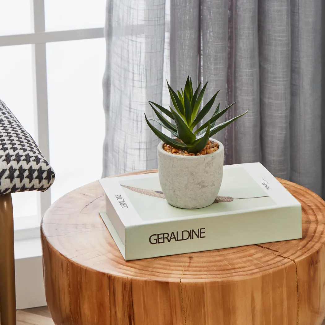 Artificial Aloe Vera in White Pot