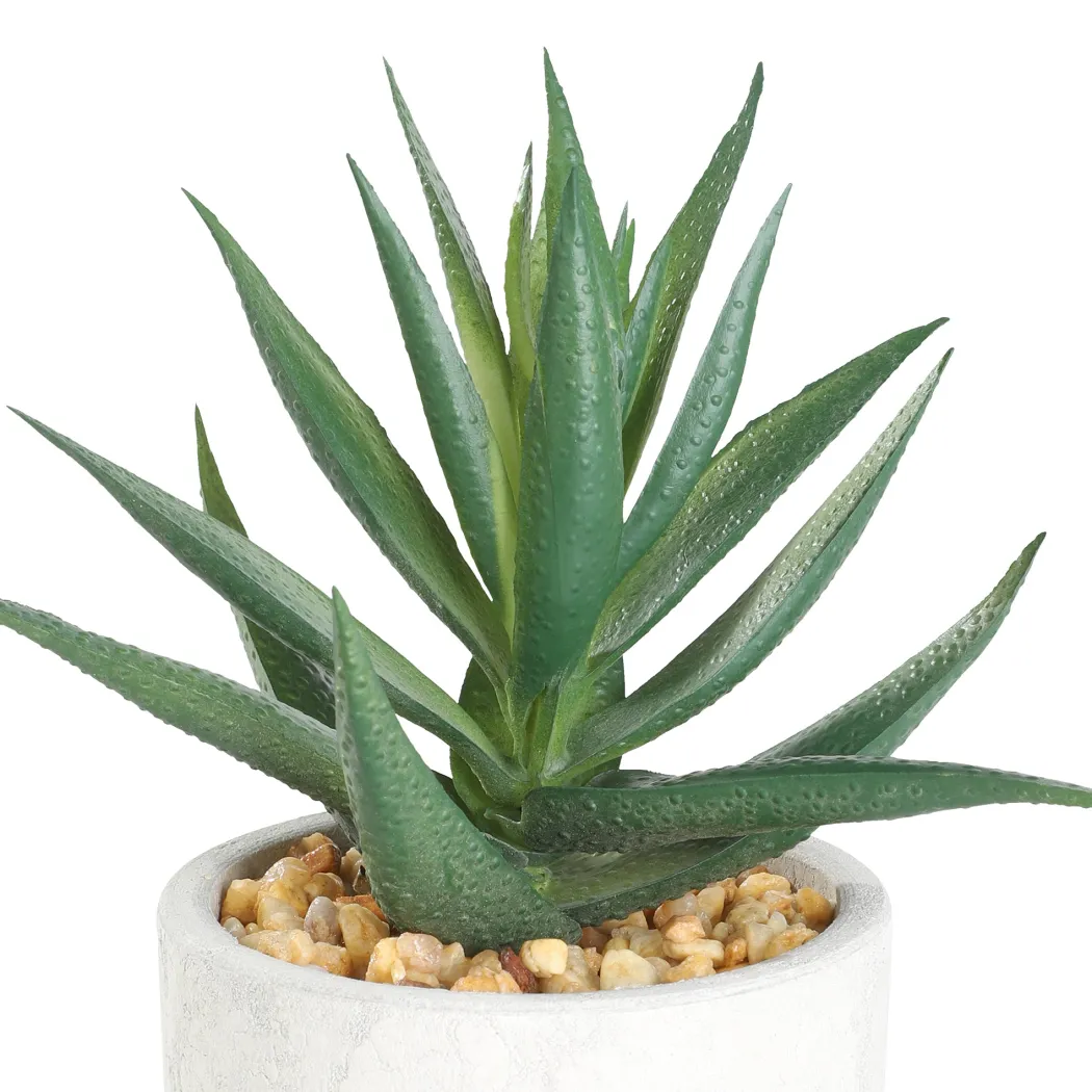 Artificial Aloe Vera in White Pot