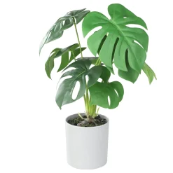 Artificial Monstera Swiss Cheese Plant