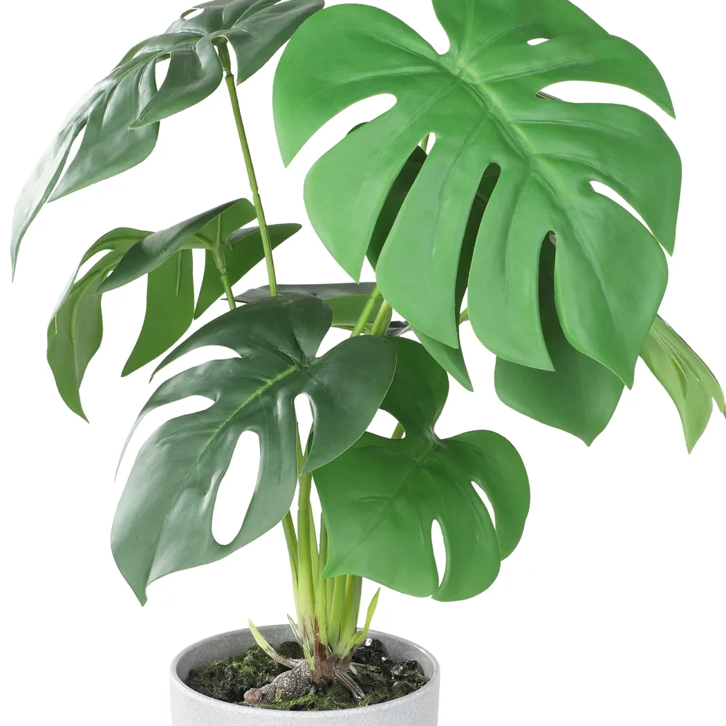 Artificial Monstera Swiss Cheese Plant