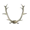 Bjorn Antler White Wall Art