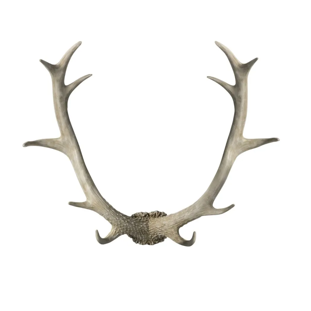 Bjorn Antler White Wall Art