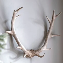 Bjorn Antler White Wall Art