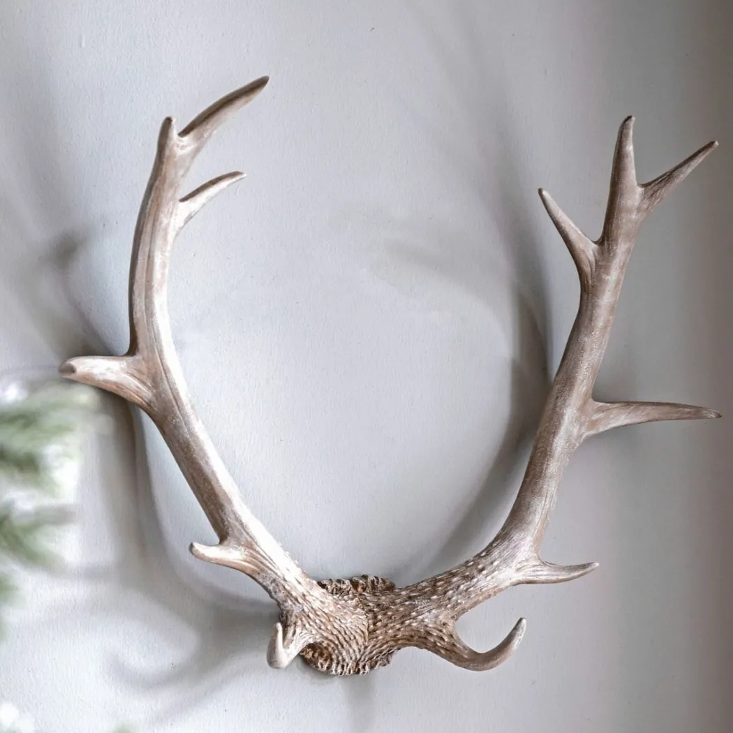 Bjorn Antler White Wall Art