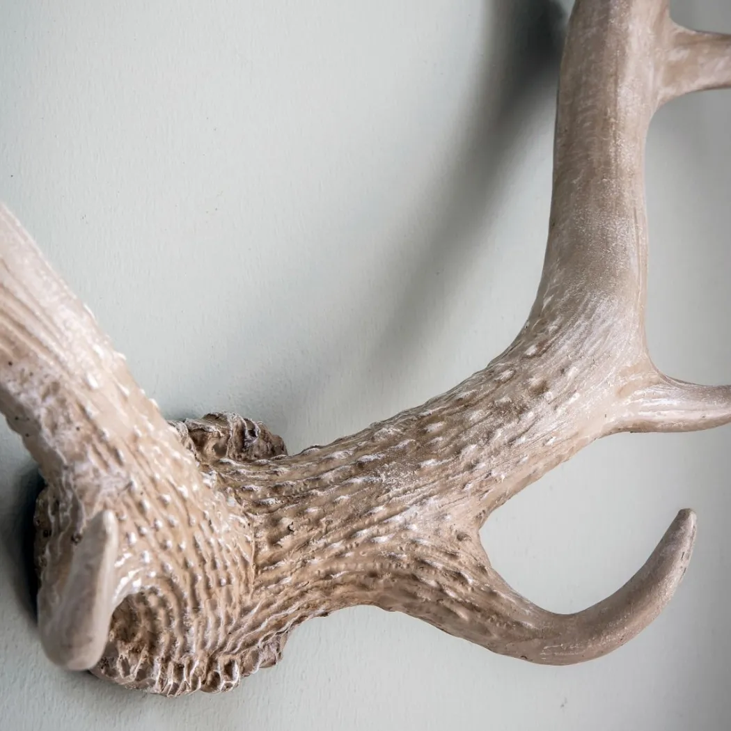 Bjorn Antler White Wall Art