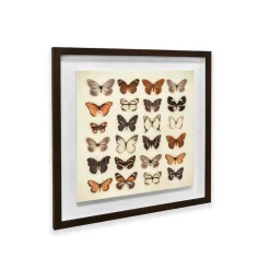 Butterfly Collection Framed Plaque Wall Art 40x40