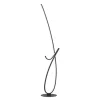 Cardoncito Black LED Floor Lamp