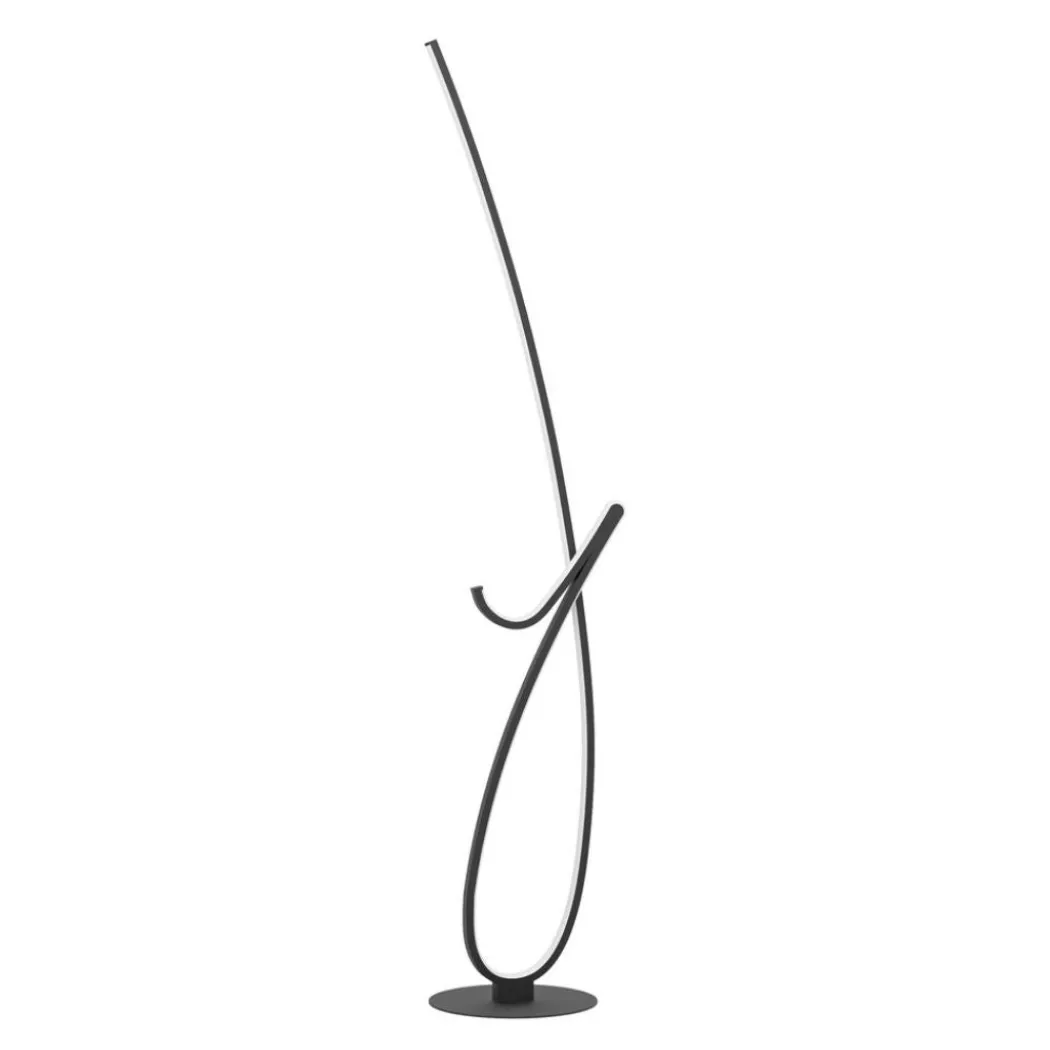 Cardoncito Black LED Floor Lamp