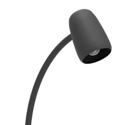 Carlo Black Task Floor Lamp