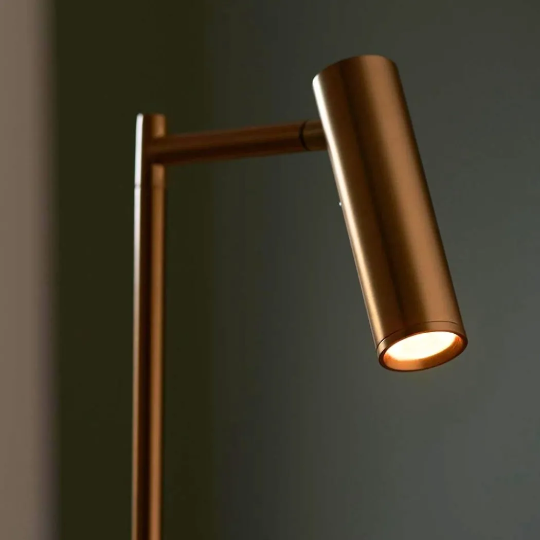Dedicated Reader Gold LED Task Floor Lamp