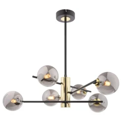Eaen 6-Light Black Ceiling Light with Smoked Glass