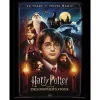 Harry Potter and the Philosopher's Stone Framed Wall Art 30x40