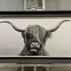 Highland Cow 100x50 Framed Wall Art