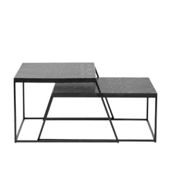 Mashiko Black Ash Veneer Duo Coffee Tables