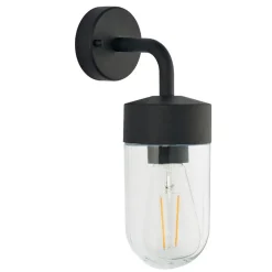 North Matte Black & Glass Outdoor Wall Light