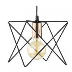 Olson 1-Light Black Ceiling Light