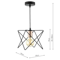 Olson 1-Light Black Ceiling Light