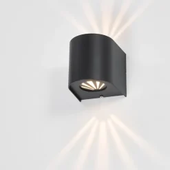 Orville 2-Light Outdoor Wall Light