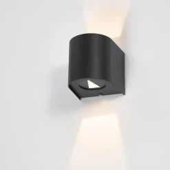 Orville 2-Light Outdoor Wall Light