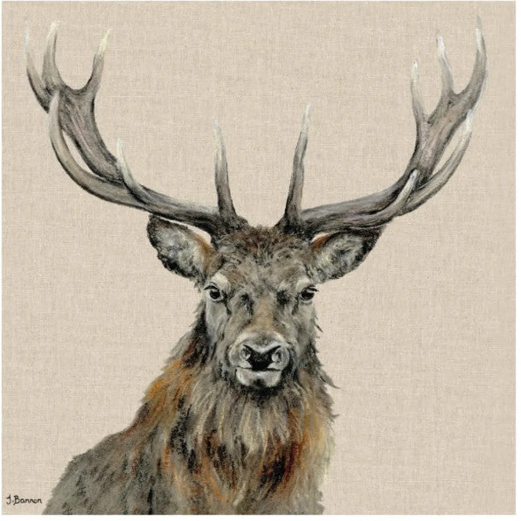 Percival 60x60cm Canvas