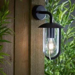 Quinn Matte Black & Clear Outdoor Wall Light