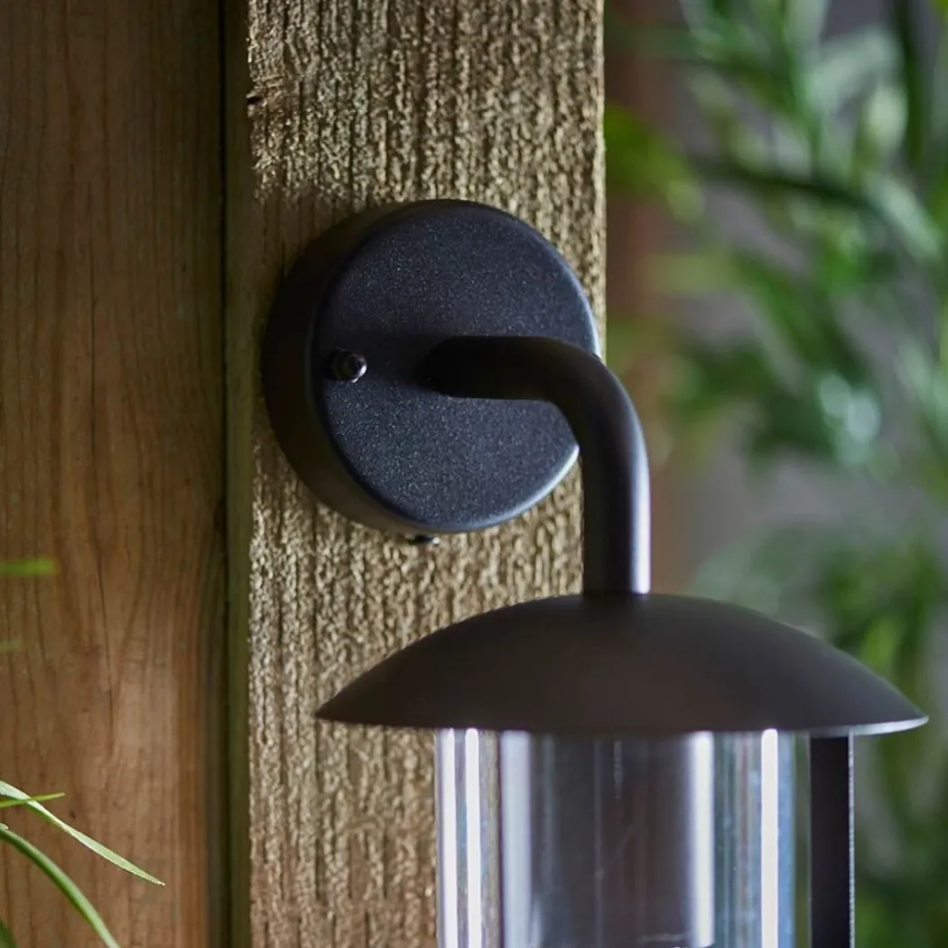 Quinn Matte Black & Clear Outdoor Wall Light