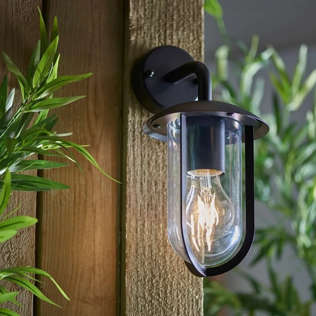 Quinn Matte Black & Clear Outdoor Wall Light