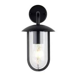 Quinn Matte Black & Clear Outdoor Wall Light