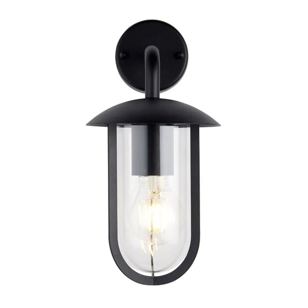 Quinn Matte Black & Clear Outdoor Wall Light