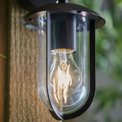 Quinn Matte Black & Clear Outdoor Wall Light