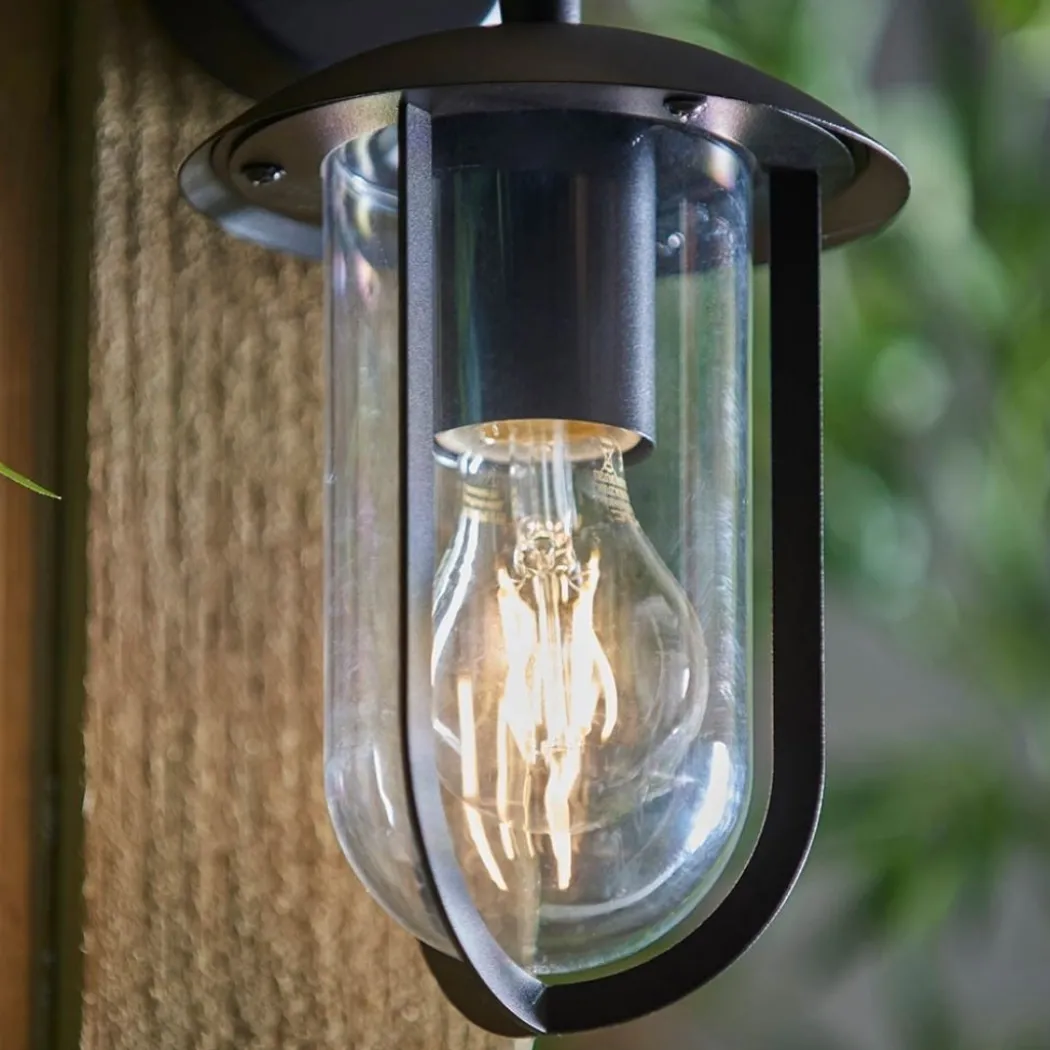 Quinn Matte Black & Clear Outdoor Wall Light