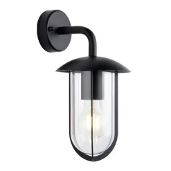 Quinn Matte Black & Clear Outdoor Wall Light
