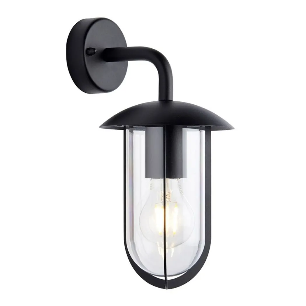 Quinn Matte Black & Clear Outdoor Wall Light