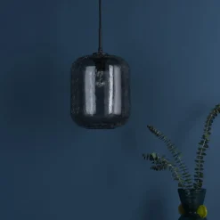 Quinna 1-Light Smoked Glass Pendant