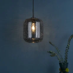 Quinna 1-Light Smoked Glass Pendant