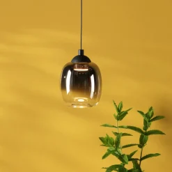 Ramona Black & Smoked Glass LED Pendant Ceiling/Wall Light