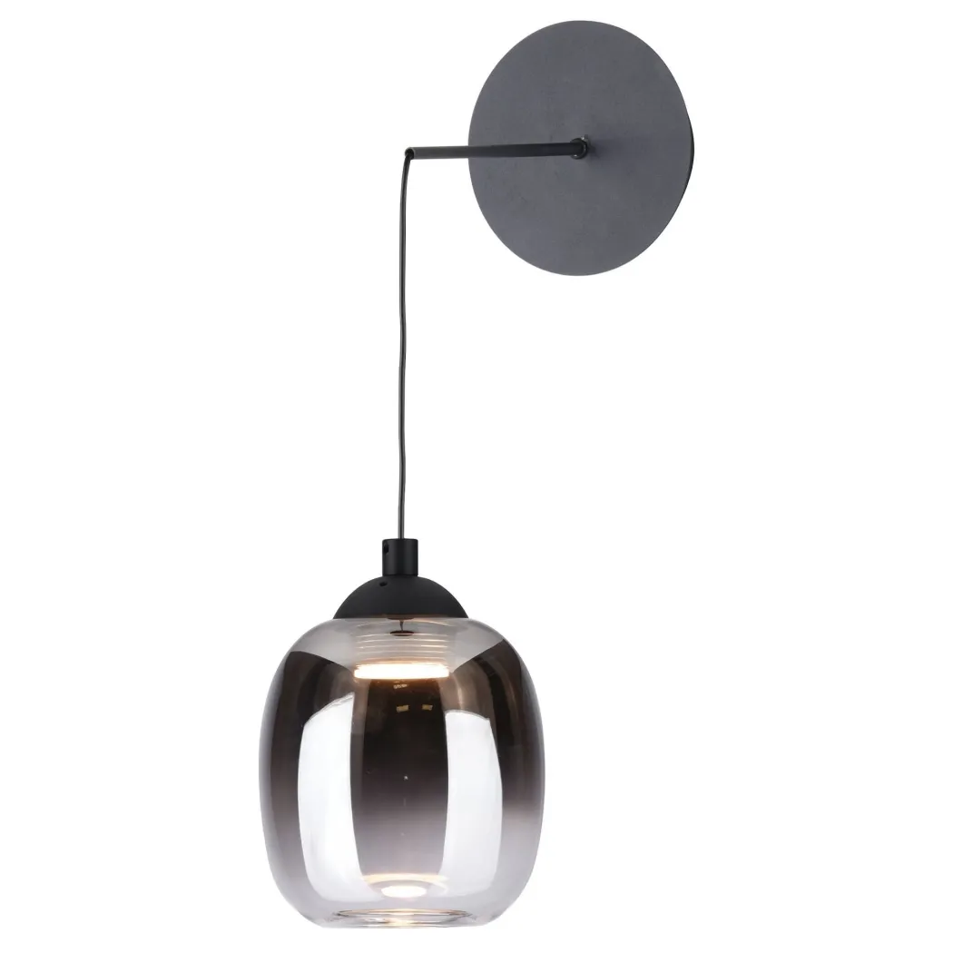 Ramona Black & Smoked Glass LED Pendant Ceiling/Wall Light