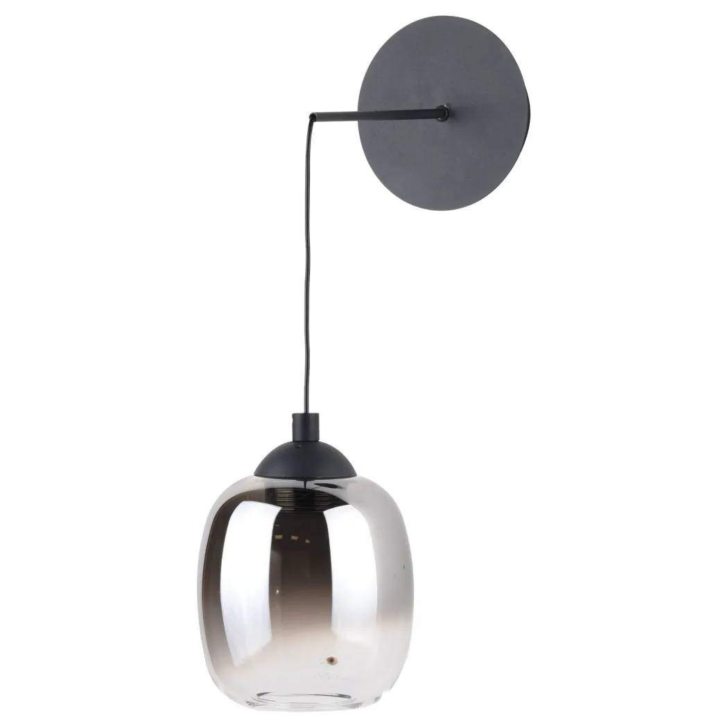 Ramona Black & Smoked Glass LED Pendant Ceiling/Wall Light