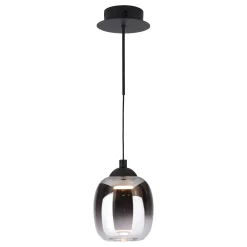 Ramona Black & Smoked Glass LED Pendant Ceiling/Wall Light