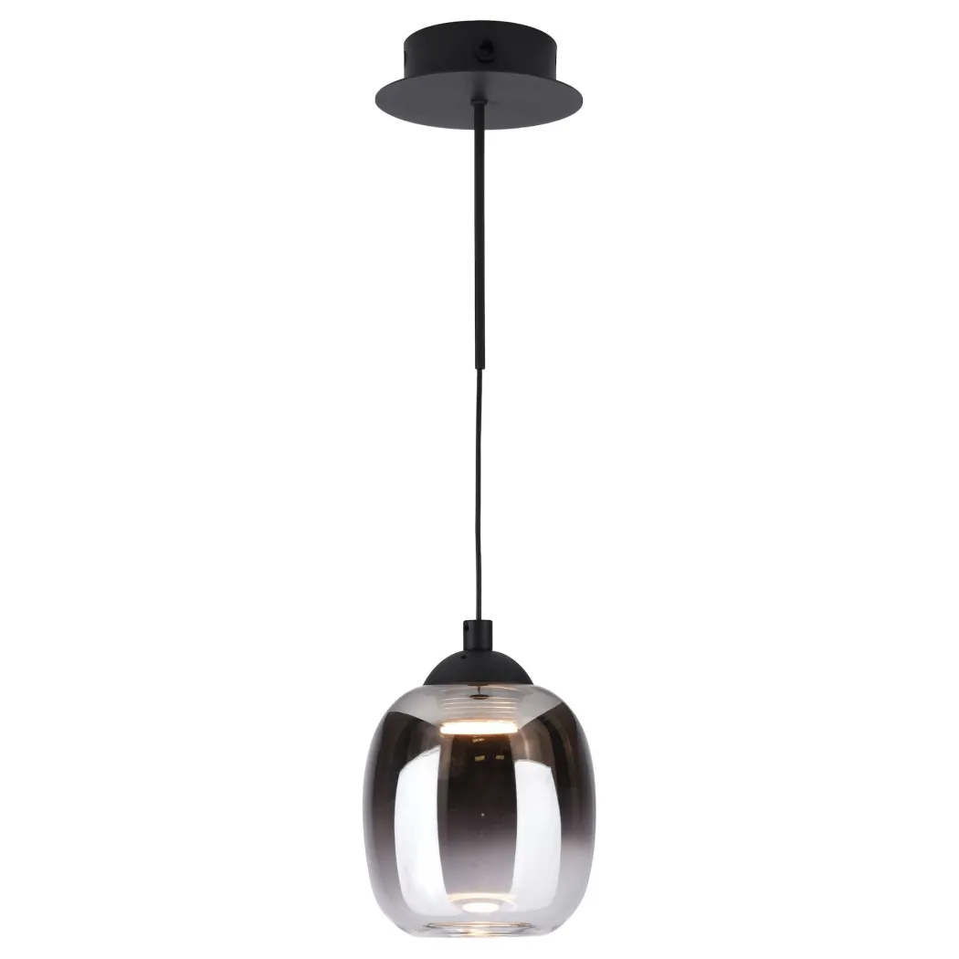 Ramona Black & Smoked Glass LED Pendant Ceiling/Wall Light