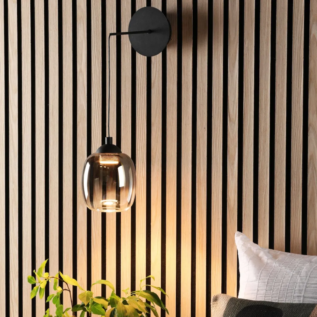 Ramona Black & Smoked Glass LED Pendant Ceiling/Wall Light