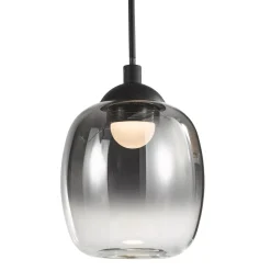 Ramona Black & Smoked Glass LED Pendant Ceiling/Wall Light
