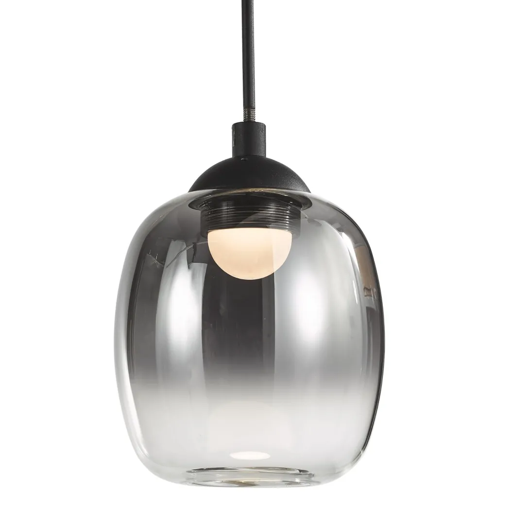 Ramona Black & Smoked Glass LED Pendant Ceiling/Wall Light
