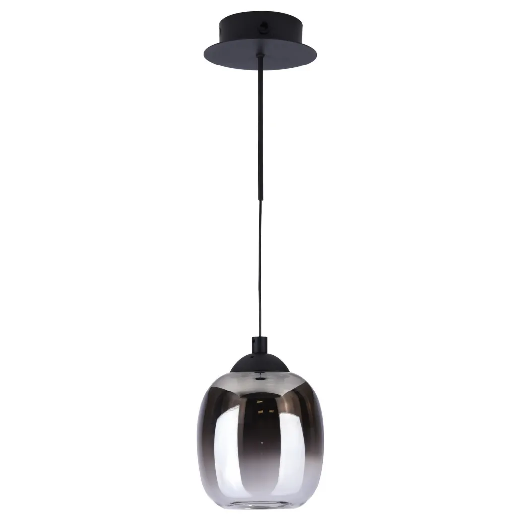 Ramona Black & Smoked Glass LED Pendant Ceiling/Wall Light